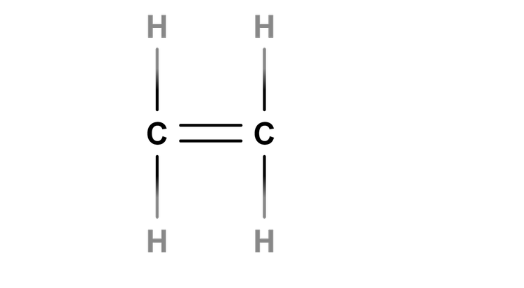 An image in a quiz