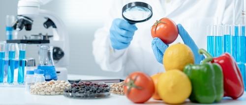 What can scientists do to find out the answers to questions?