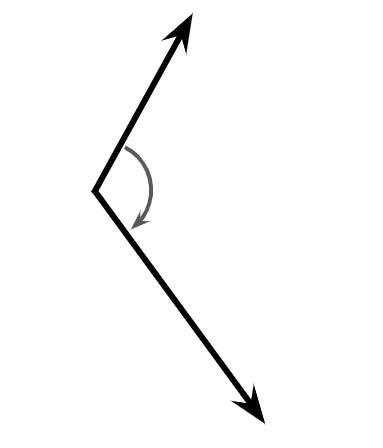 Which type of angle is shown?