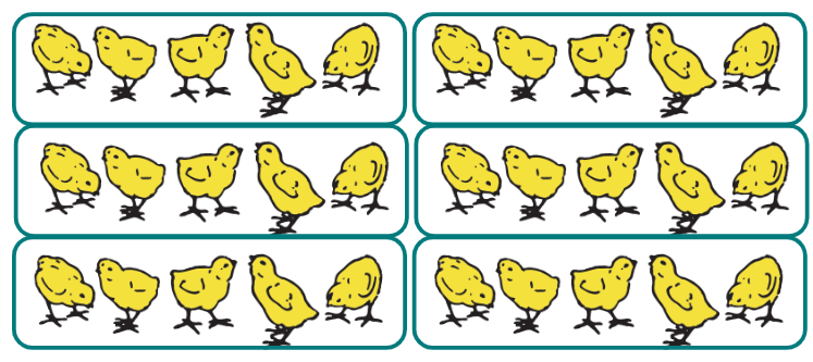An image in a quiz