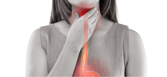 What happens to the food after it leaves the mouth?