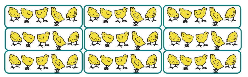 An image in a quiz