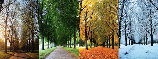 Which of these are seasons of the year?