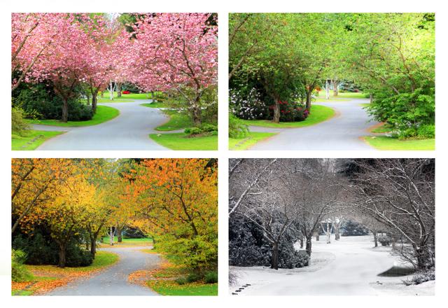 An image in a quiz