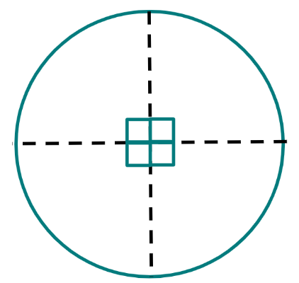 An image in a quiz