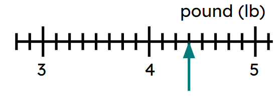 An image in a quiz