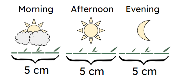 Select the correct multiplication expression for the image below. A bamboo plant grows 5 cm in the morning, 5 cm in the afternoon and 5 cm in the evening.