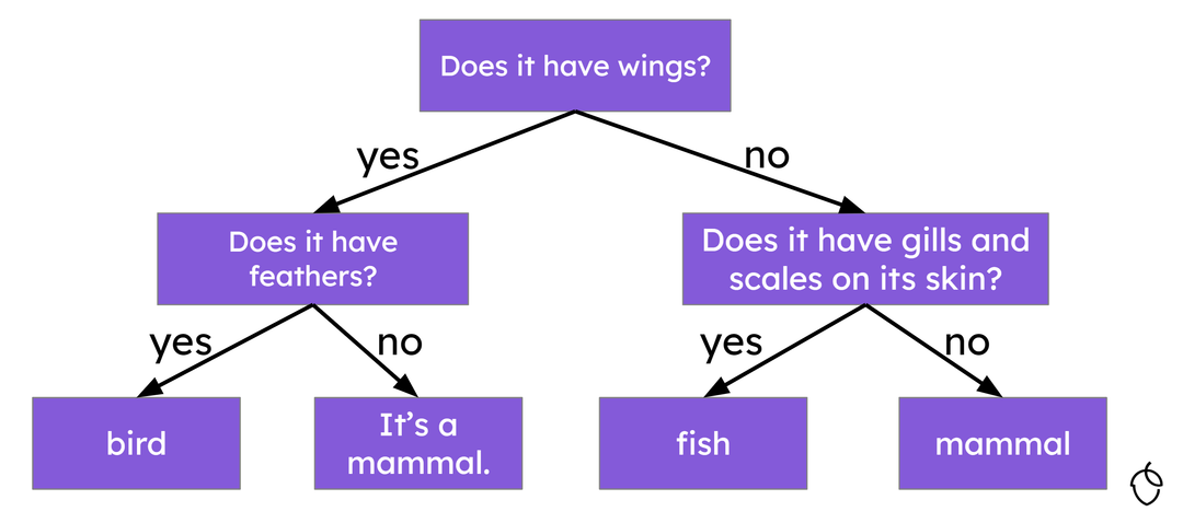 An image in a quiz