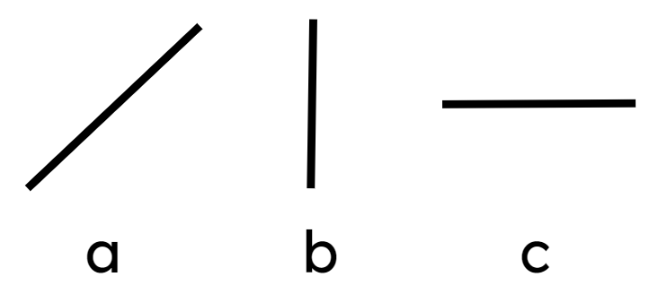 An image in a quiz