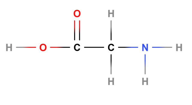 The image shows an amino acid. How many functional groups are present in this amino acid?