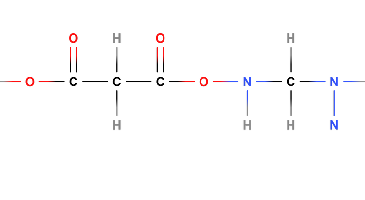 An image in a quiz