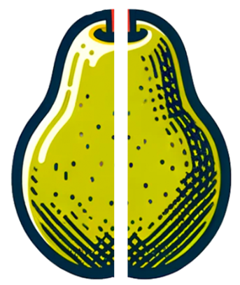 An image in a quiz