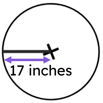 An image in a quiz