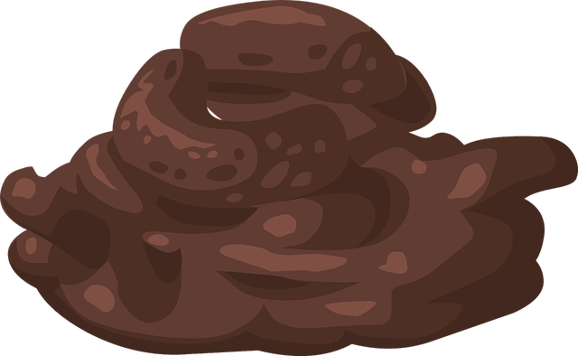 What leaves the body through the anus at the end of the digestive system?