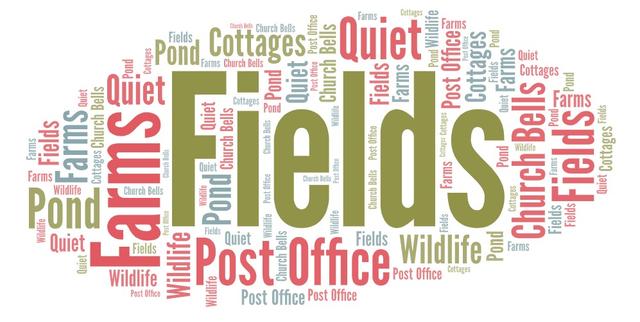 Look at the word cloud below. What sort of area is this most likely to be describing?