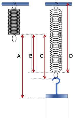 An image in a quiz