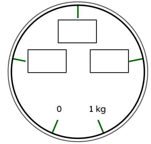 An image in a quiz