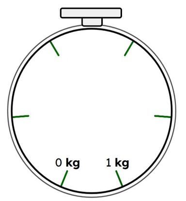 An image in a quiz