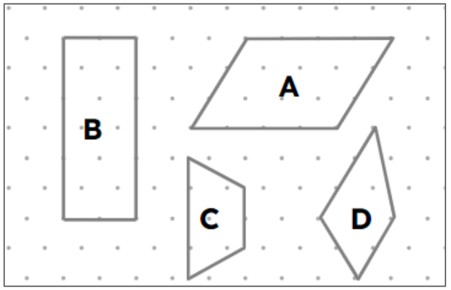 An image in a quiz
