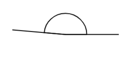 An image in a quiz