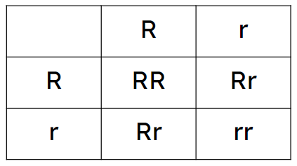 An image in a quiz
