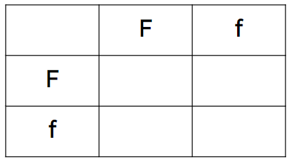 An image in a quiz