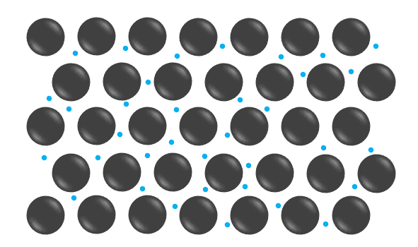 An image in a quiz