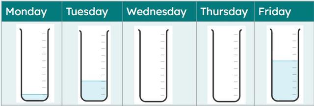Look at this data showing rainfall. Which days did it rain?