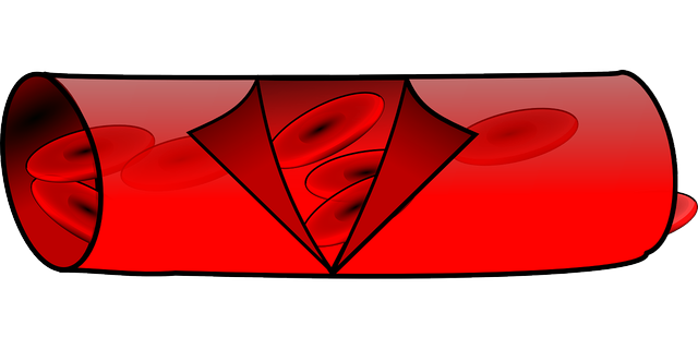 Blood flows through blood ...
