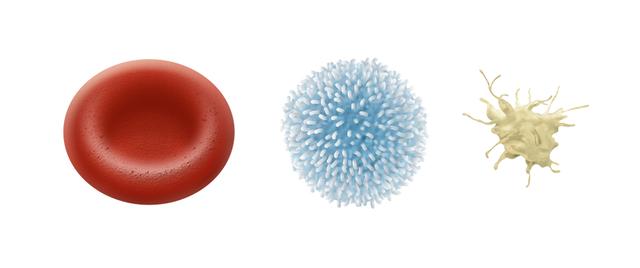 Which four of the following are parts of blood.