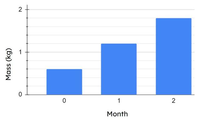 The graph shows the mass of a dog in different months. What is the mass of the dog when it is two months old? Select all the correct options.