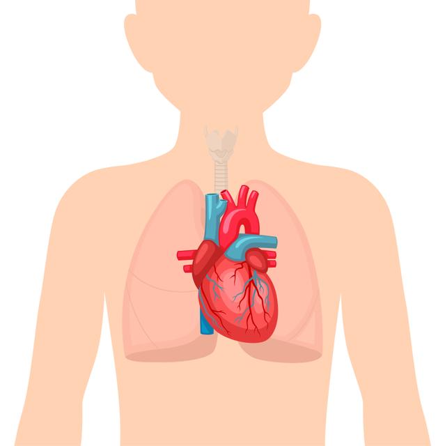 An image in a quiz