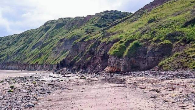 visit a coastal habitat