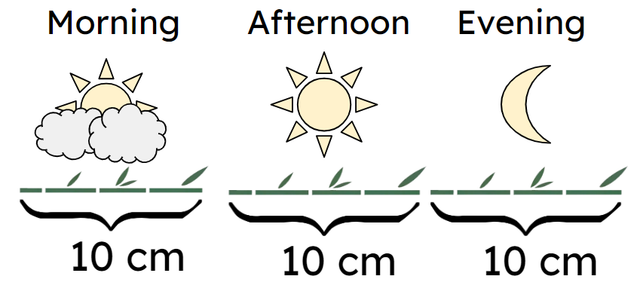 Select the correct multiplication equation for the image below. A bamboo plant grows 10 cm in the morning, 10 cm in the afternoon and 10 cm in the evening.