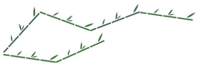Look at the image. Each bamboo piece is 5 m long. What is the total length of 6 pieces? The total length of the bamboo is <span class="blank">______</span> m.
