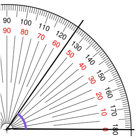 An image in a quiz