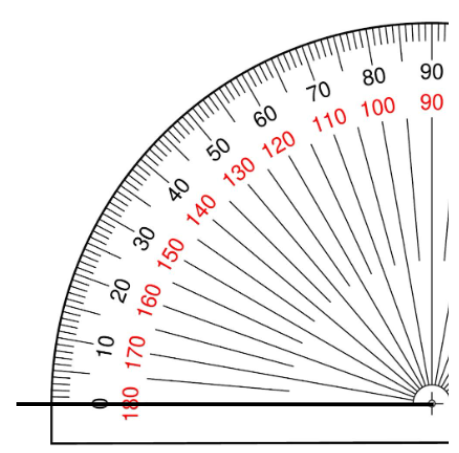 An image in a quiz
