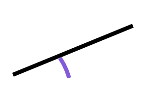 An image in a quiz