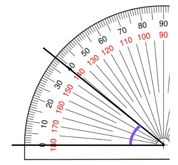 An image in a quiz
