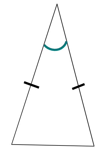 What do these lines represent on two sides of this polygon?