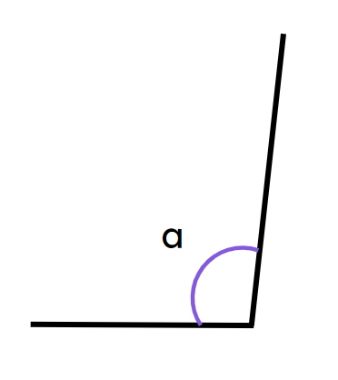 An image in a quiz
