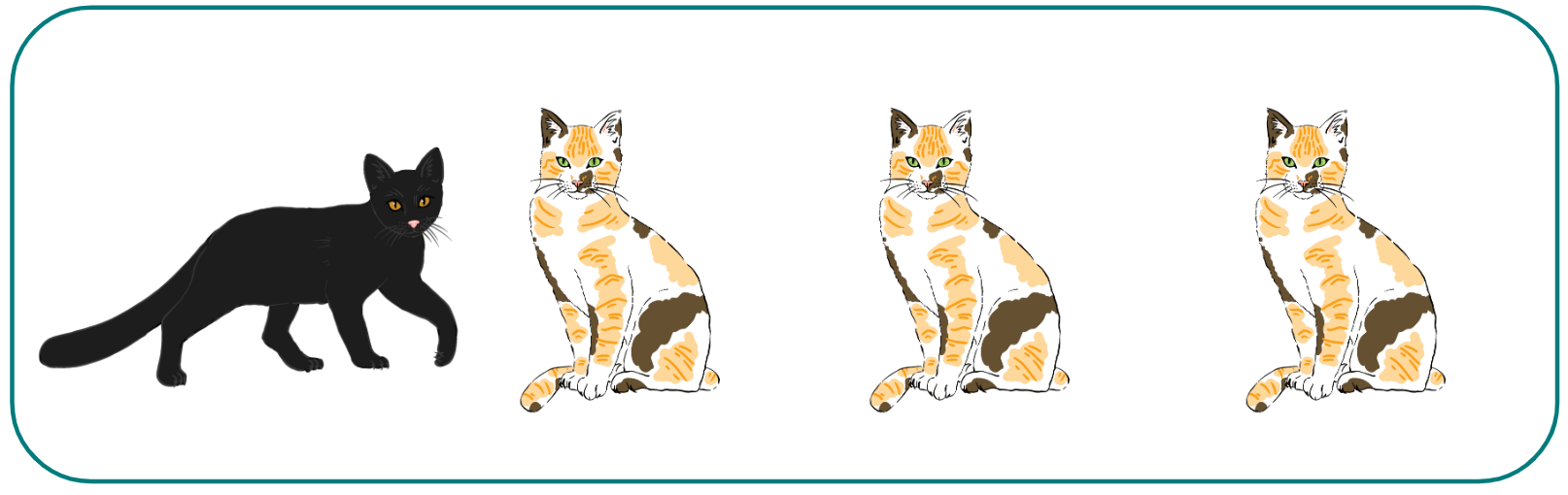 An image in a quiz