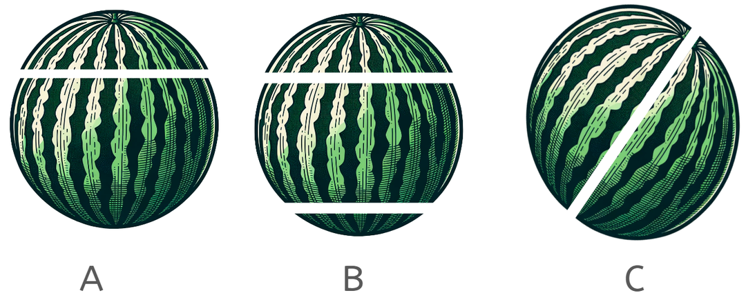 An image in a quiz