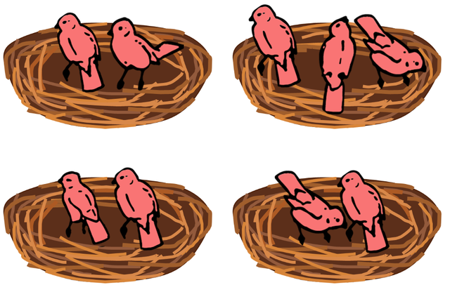 An image in a quiz