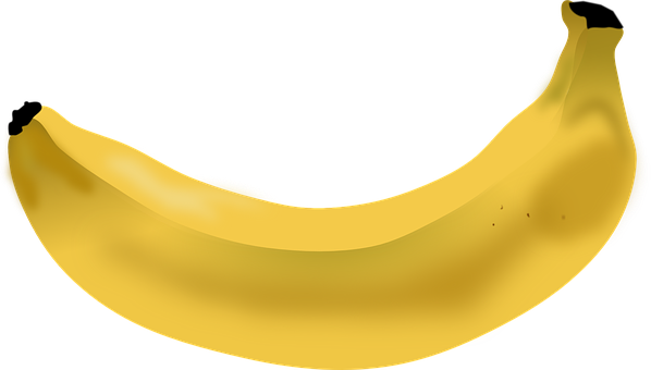 An image in a quiz