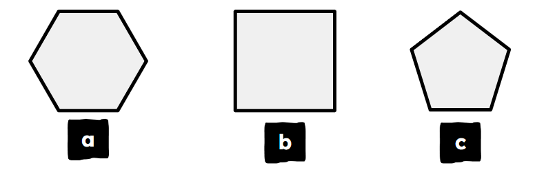 An image in a quiz