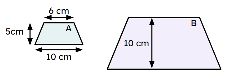 An image in a quiz