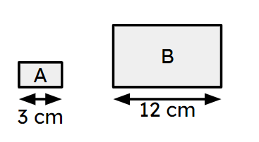 An image in a quiz