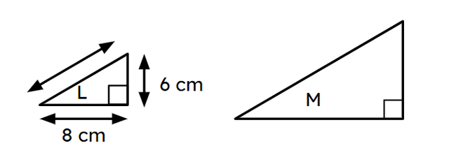 Triangles L and M are similar. The area of triangle M is 54 cm². What is the perimeter of triangle M?