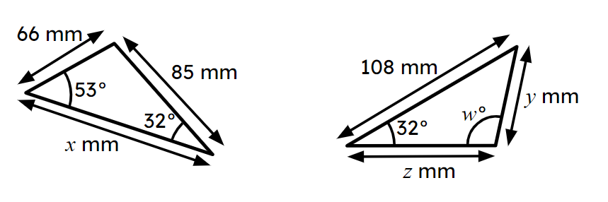 An image in a quiz